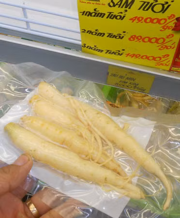 Đẳng sâm tươi bán tại siêu thị giá từ 500.000-1,5 triệu đồng/ký (trong ảnh giá bán gói 100gr).