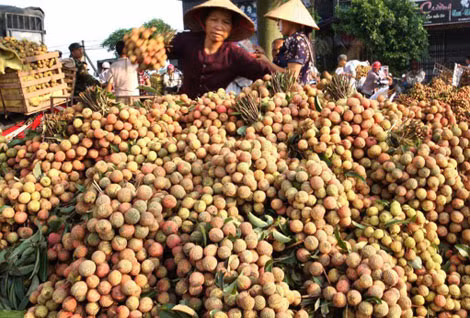Nhiều cơ hội mới đang mở ra với trái cây Việt Nam.