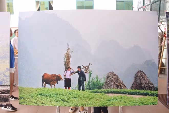 HẠNH PHÚC Tác giả: Nguyễn Hữu Thông Hạnh phúc đôi khi đơn giản là sự chia sẻ trong công việc, qua đó những người trong gia đình hiểu nhau hơn và dễ dàng có sự đồng cảm và yêu thương.
