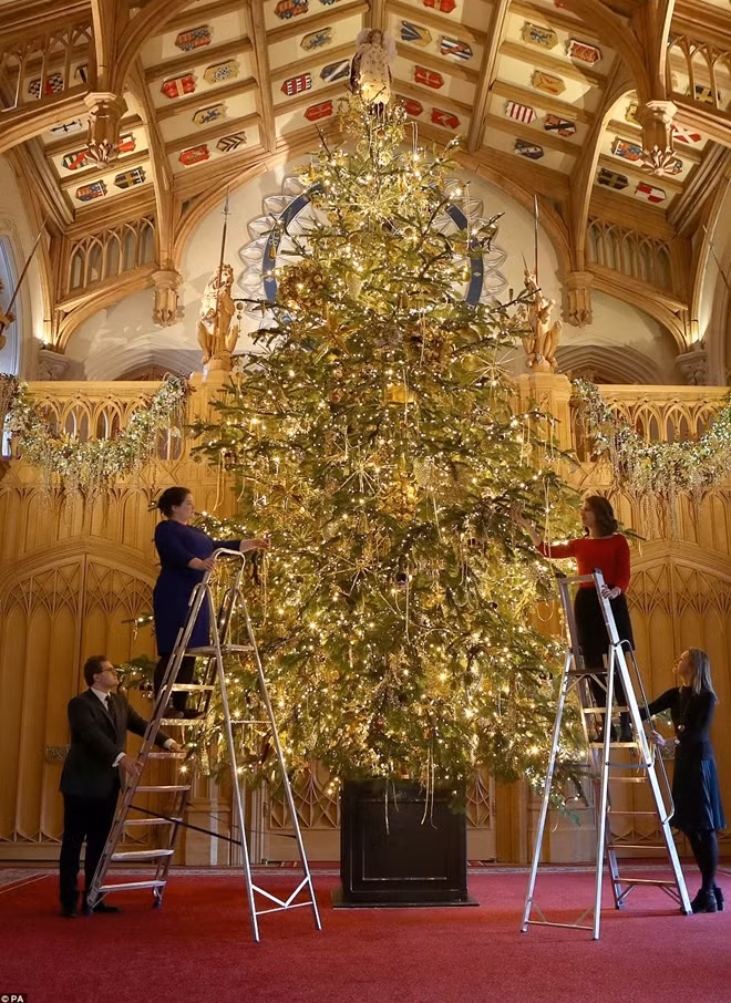 Như thường lệ, tâm điểm của lâu đài Windsor dịp lễ hội hàng năm chính là cây Noel Nordmann Fir được dựng tại hội trường St George. Cây Noel này được lấy từ khu vườn Windsor Great Park của gia đình Hoàng gia.