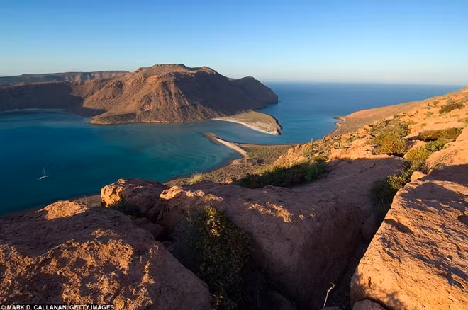 Nếu dành mùa đông tại Baja California, bạn sẽ có cơ hội chiêm ngưỡng hàng ngàn con cá voi xám di cư tới đây từ phía nam.