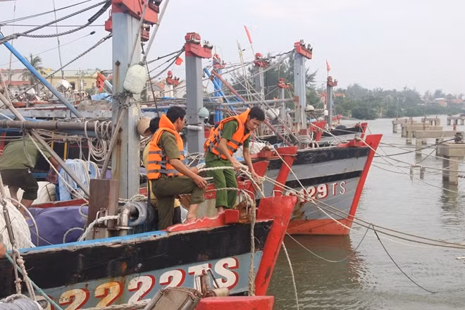 Và giúp ngư dân neo đậu lại tàu thuyền tại âu thuyền.