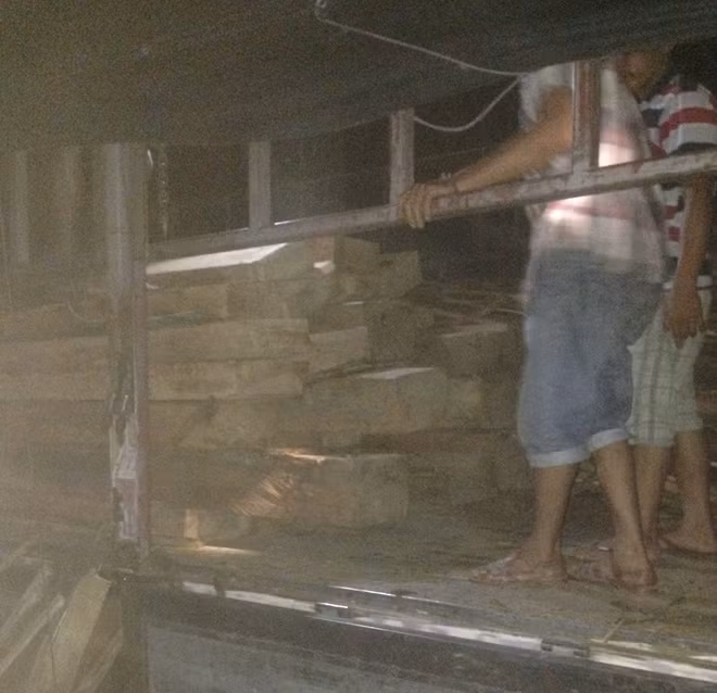 Gỗ lậu được vận chuyển trên xe tải bị lực lượng kiểm lâm Nam Đông bắt giữ vào lúc 1h sáng ngày 22-7.