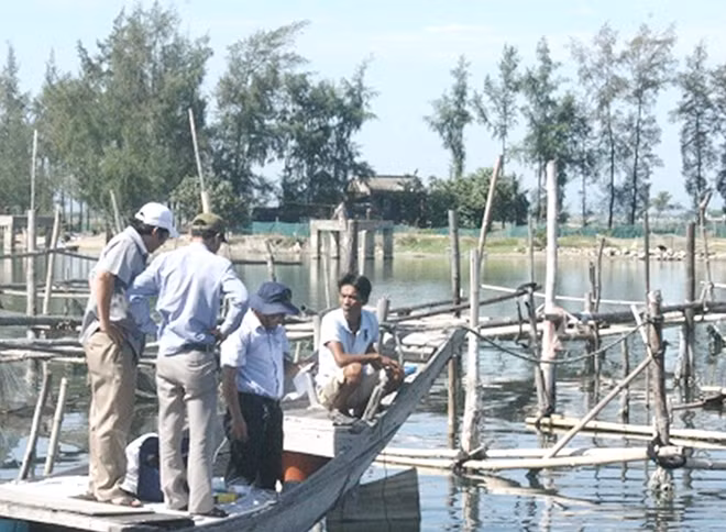 Cơ quan chức năng kiểm tra khu vực cá nuôi bị chết ở xã Hải Dương.