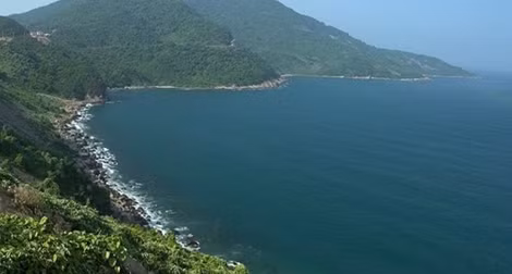 Vào khu bảo tồn thiên nhiên Sơn Trà săn bắt động vật hoang dã
