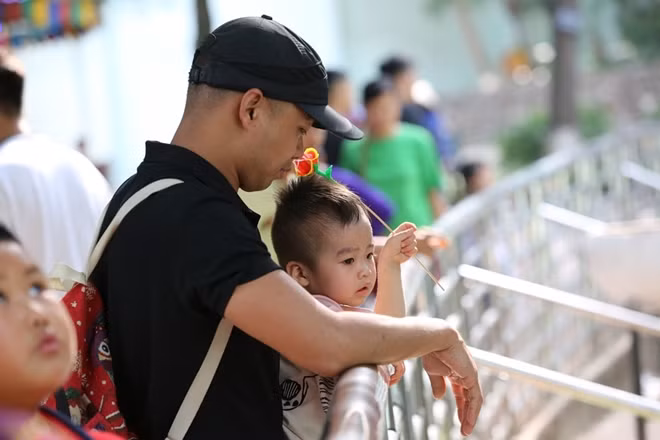 Một cô bé trong vòng tay bố bên ngoài chuồng hổ tại Công viên Thủ Lệ