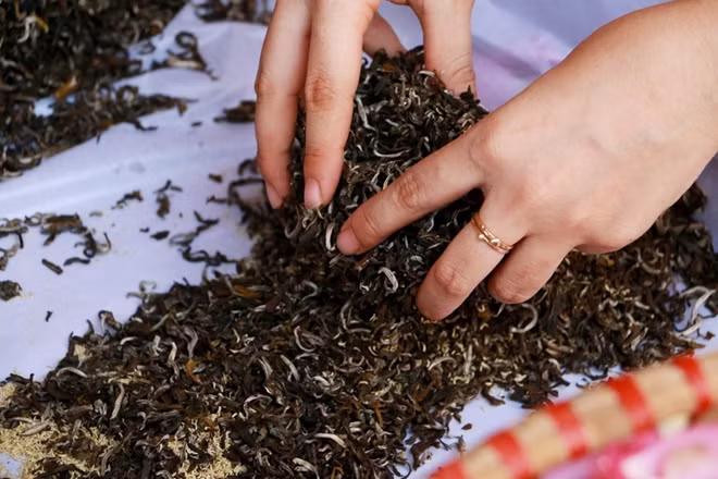 Ngoài ra để trà không bị ủng trong quá trình ướp, Duyệt củng phải trộn lại thêm nhiều lần.