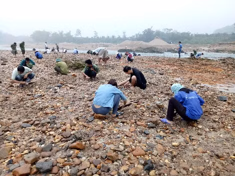 Hàng trăm người kéo về khu vực bến Chuối tìm kiếm đá quý nhiều ngày nay.
