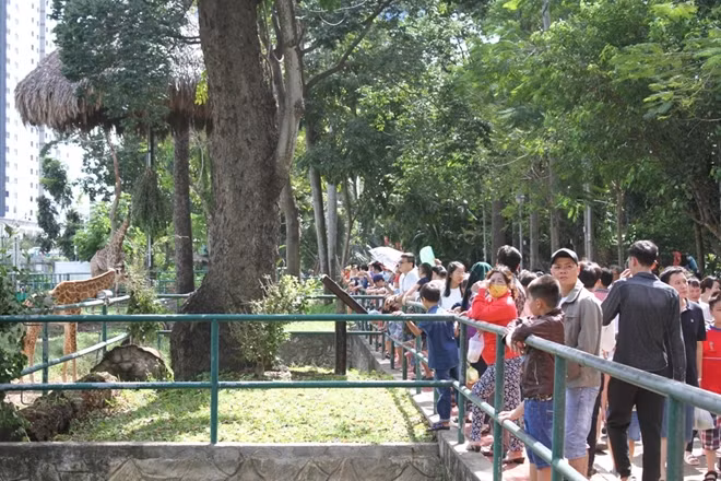 Các “bảo mẫu” đã góp phần đáng kể vào sự phong phú của ĐVHD được bảo tồn tại sở thú, phục vụ tốt cho công tác nghiên cứu và nhu cầu tham quan của du khách.