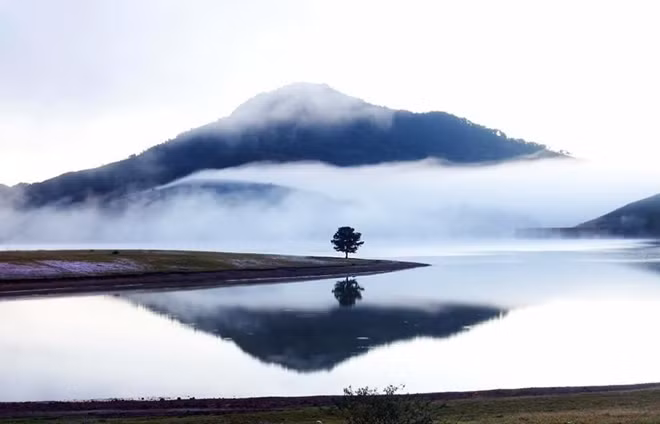 Khu vực "Cây thông cô đơn".