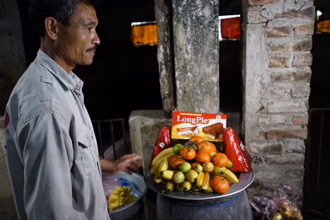 Bữa ''tráng miệng'' của các "ông lợn" là hoa quả tươi.