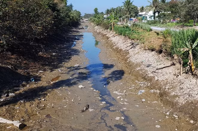 Kênh Tham Thu, huyện Gò Công Tây (Tiền Giang) cũng như nhiều tuyến kênh khác tại ĐBSLC đang cạn đáy.
