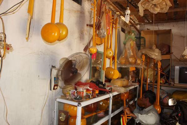 Rất nhiều cây đàn tính do ông Đức chế tác. Rất nhiều cây đàn tính do ông Đức chế tác.
