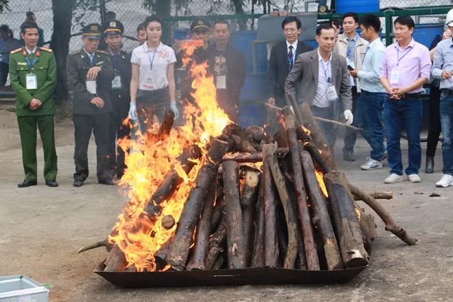 Kế hoạch NIRAP góp phần hoàn thiện khung pháp lý kiểm soát buôn bán động vật, thực vật hoang dã.
