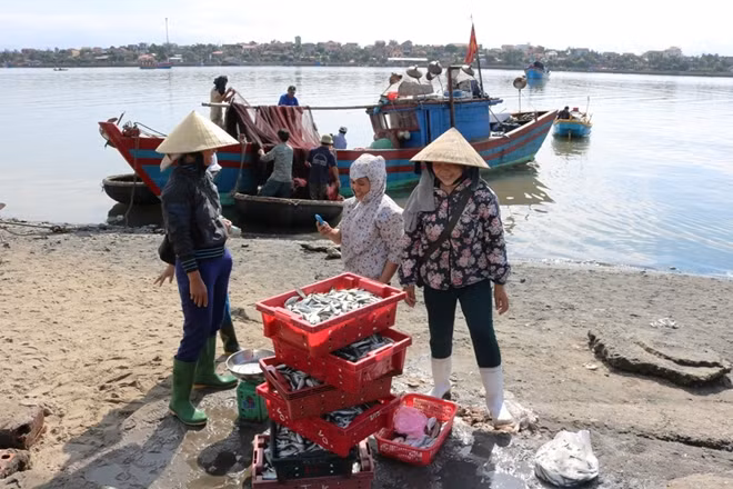 Ngư dân vui mừng khi tàu vừa cập bờ đều được tiểu thương mua thủy hải sản với giá cao.