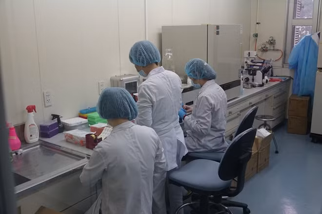 Các cán bộ, nhân viên trong Khoa Virus làm việc trong phòng thí nghiệm.