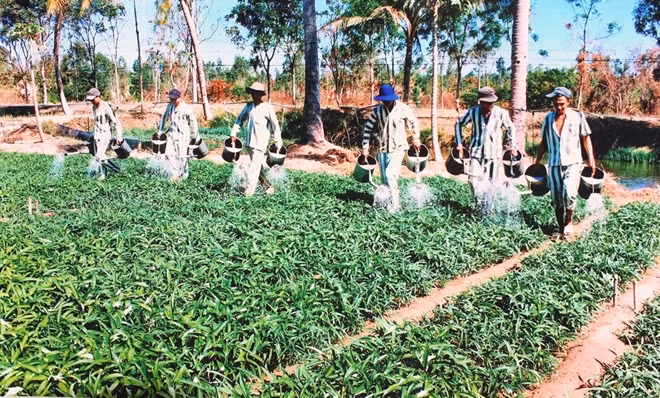Các phạm nhân tại Trại giam Thủ Đức được lao động cải tạo phù hợp với sức khỏe.