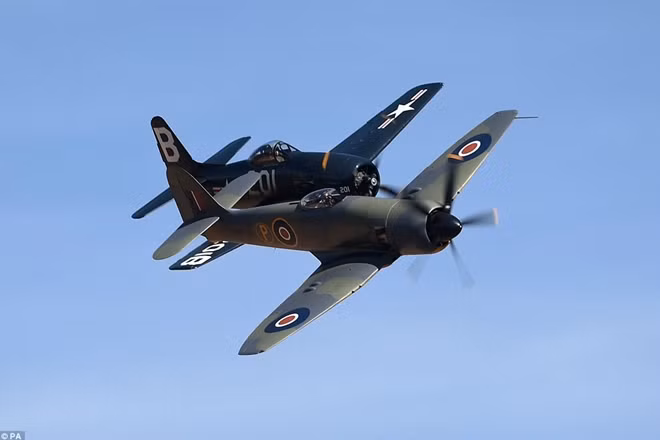 Grumman F8F Bearcat (trái) một trong các máy bay cánh quạt một động cơ tốt nhất của không quân Mỹ trong WWII và Hawker Fury FB 11 loại phi cơ chiến đấu cánh quạt cuối cùng của Hải quân Anh. Hawker Fury FB 11 là một trong những loại chiến đấu cơ cánh quạt duy nhất bắn rơi máy bay phản lực với thành tích hạ được 1 chiếc Mig-15 trong chiến tranh Triều Tiên. Ảnh: PA