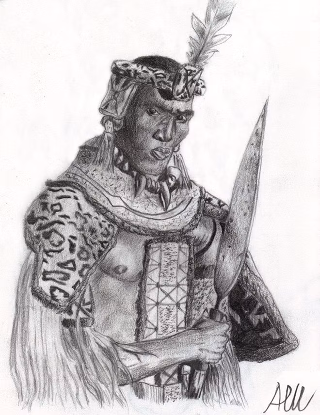 Dù sao, Shaka Zulu cũng được giới chuyên môn đánh giá là một chỉ huy quân sự thiên tài.