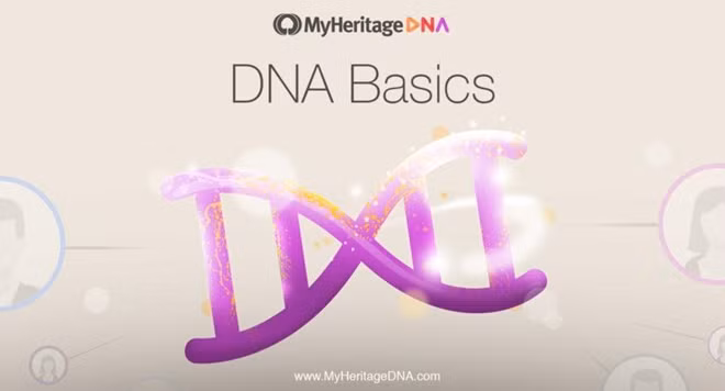 Thông tin từ DNA rất quan trọng.