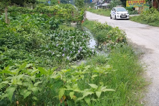 Một bên đường là dòng nước thải đen ngòm có mùi hôi thối, nhiều đoạn còn xuất hiện các bãi sình lầy do nước thải đọng lâu ngày không thoát được.