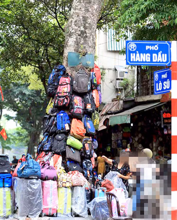 Cây xanh “còng lưng bán hàng”.