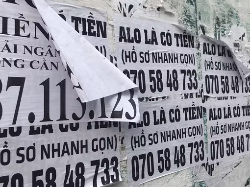 Xây dựng đề án đưa các huyện vùng ven TP Hồ Chí Minh thành quận ảnh 2