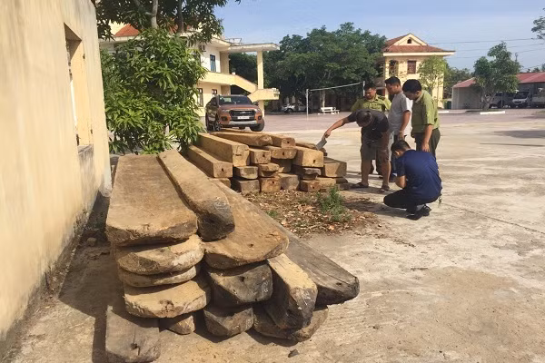 Số gỗ đối tượng đổ xuống bỏ lại với khối lượng 5,8m³ gỗ Số gỗ đối tượng đổ xuống bỏ lại với khối lượng 5,8m³ gỗ