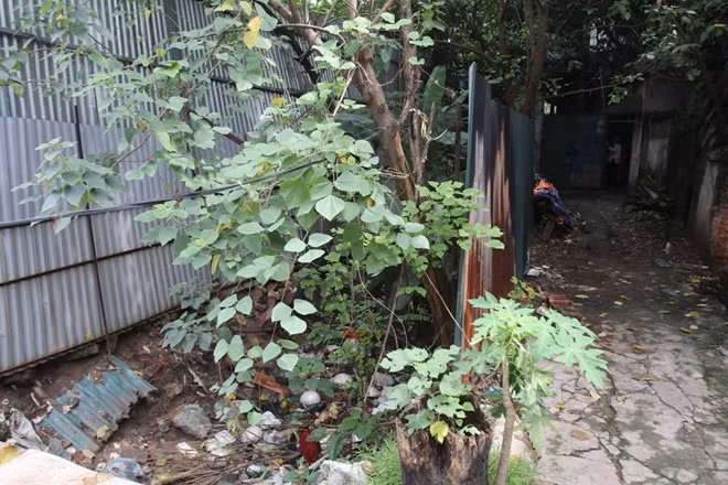 Chị Mai Anh (phường Ngọc Hà, Ba Đình Hà Nội) cho biết sống cạnh đoạn mương chết này khiến nhà chị không bao giờ dám mở cửa không chỉ vì mùi hôi bay vào từ mương mà còn bởi có rất nhiều muỗi. Theo chị Mai Anh cho biết trong đợt dịch sốt xuất huyết năm 2018 gia đình chị đã có hai người mắc bệnh.