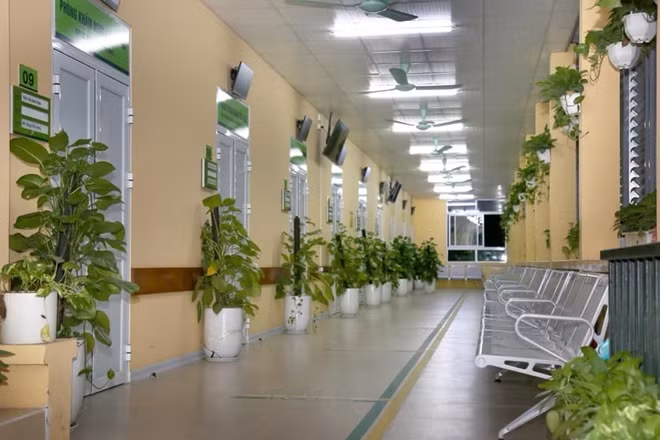 Hệ thống cây xanh đẹp mắt ở BV Việt Đức.