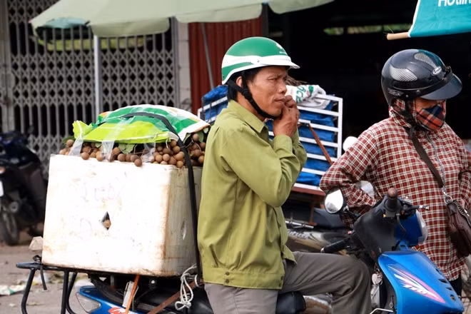 Được mùa nhưng rớt giá là điệp khúc không chỉ của mỗi nhãn lồng Hưng Yên.