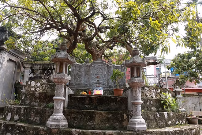 Tương truyền rằng, cây nhãn tổ (Hưng Yên) là đặc sản quý của vùng, vì thế, hàng năm cứ vào tháng bảy (âm lịch) hàng năm, khi quả nhãn đã chín, các vị quan dân địa phương cùng các vị tiền bối trong làng liền chọn các chàng trai trẻ khôi ngô, tuấn tú trong làng để trèo cây hái nhãn.