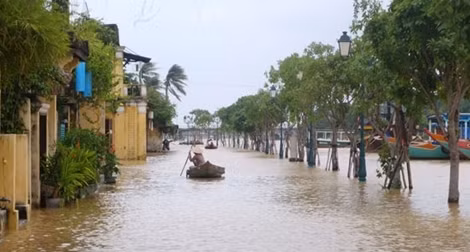 Phố cổ Hội An ngập sâu trong biển nước ảnh 6