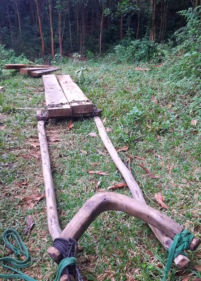 Dụng cụ kéo gỗ lâm tặc bỏ lại tại hiện trường.