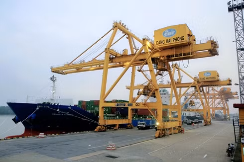 Kiến nghị khẩn dừng thu phí hạ tầng cảng biển tại TP Hồ Chí Minh ảnh 3