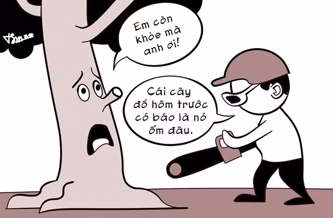 Minh họa Lê Tâm.