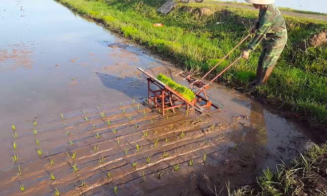 Chiếc máy cấy này hiện đang được sử dụng rộng rãi khắp cả nước.