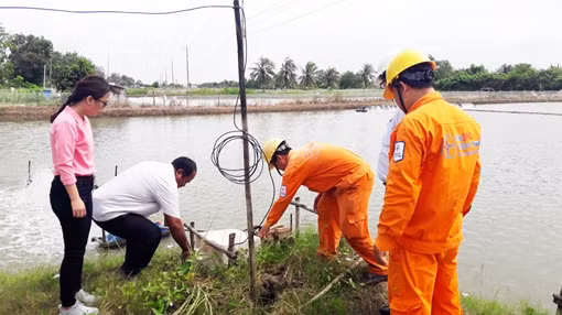 Báo động tai nạn điện chết người do bất cẩn khi nuôi tôm