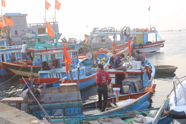 Những con tàu neo bờ chờ "ăn hàng" ra khơi.