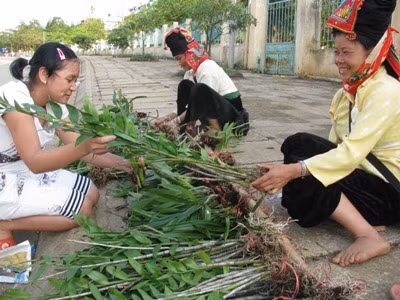 Hình ảnh chơi lan bình dân thế này ngày một ít đi.