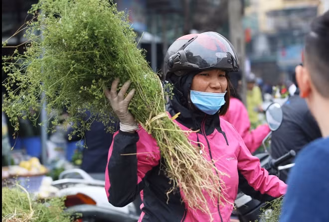 Mùi già bán chạy ở các chợ. Thói quen đun nước lá mùi già để tắm trong ngày 30 Tết đã trở thành một phong tục đẹp, thiêng liêng và là nét văn hóa của nhiều người Việt Nam.