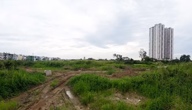 Sau nhiều năm được rao bán, đất nền tại một dự án vẫn để cỏ mọc hoang hóa.