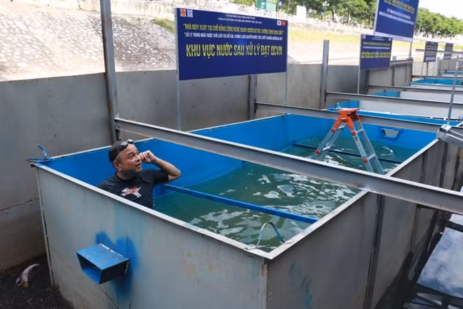 Trong nước này đủ yếu tố để các sinh vật thủy sinh phát triển bình thường.
