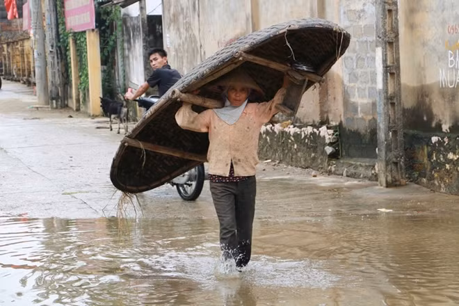 Rất nhiều loại thuyền nhỏ được nhân dân ở đây huy động phục vụ cho cuộc sống hàng ngày. Trong ảnh là một chiếc thuyền nan một loại thuyền truyền thống của người dân đồng bằng Bắc Bộ.