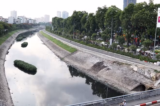 Đường Láng giờ như một dải xanh ven dòng Tô Lịch.