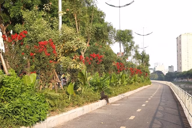 Một màu xanh phủ kín trên tuyến đường này.