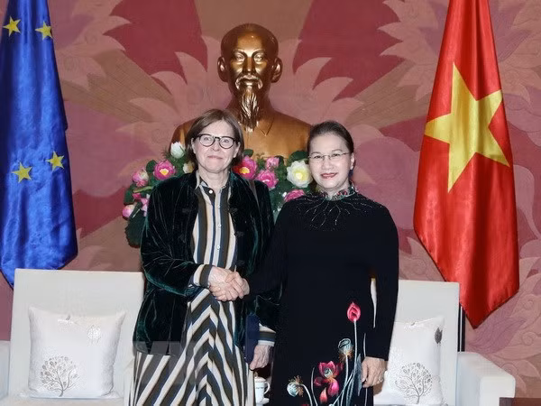 Chủ tịch Quốc hội Nguyễn Thị Kim Ngân tiếp bà Heidi Hautala, Phó Chủ tịch Nghị viện châu Âu. (Ảnh: Trọng Đức/TTXVN)
