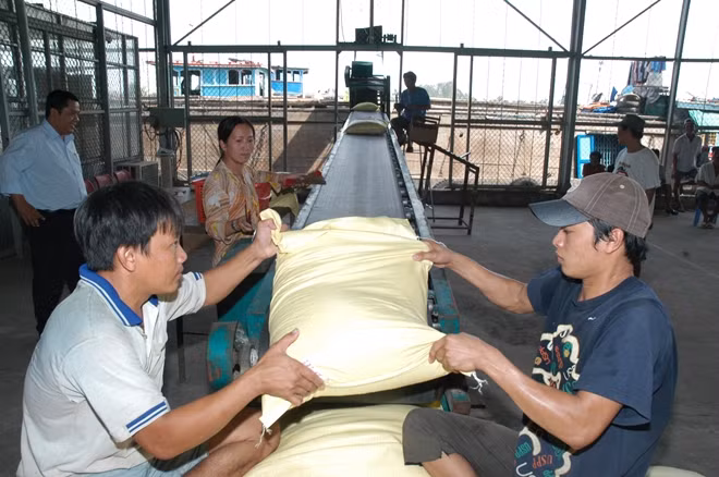 Nhiều tín hiệu vui đầu năm đối với lĩnh vực xuất khẩu gạo.