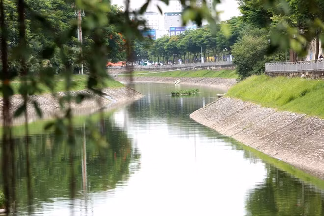 Cả tuyến sông từ đầu đường Hoàng Quốc Việt đến Ngã Tư Sở nước chuyển màu từ đen kịt sang xanh.