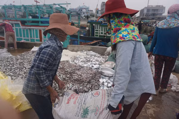 Khi tàu về, các chị đầu tắt mặt tối với cá tôm.